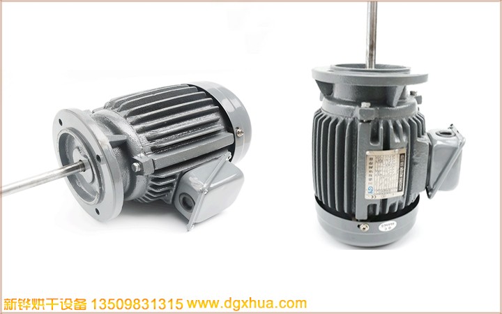 High temperature long axis motor